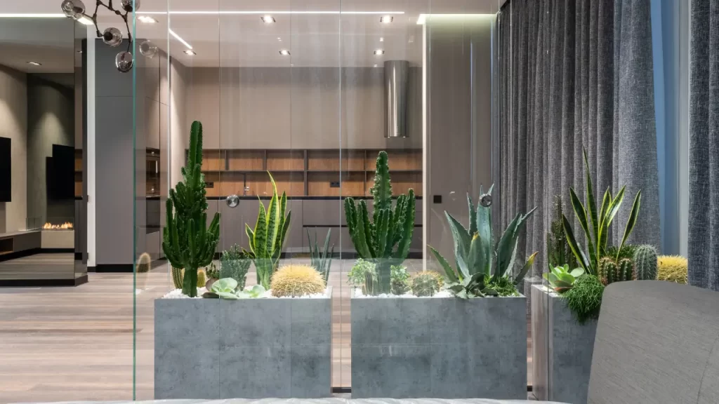 plantas fáceis de cuidar