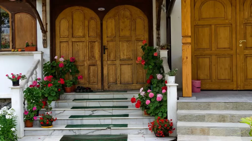 7 Plantas Perfeitas para Transformar a Entrada da Sua Casa em um Oásis Verde