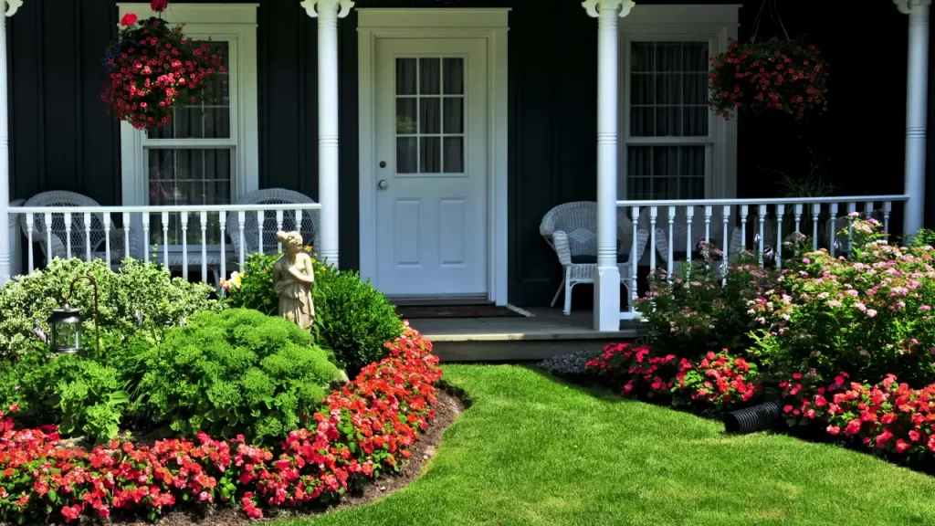 7 Plantas Perfeitas para Transformar a Entrada da Sua Casa em um Oásis Verde