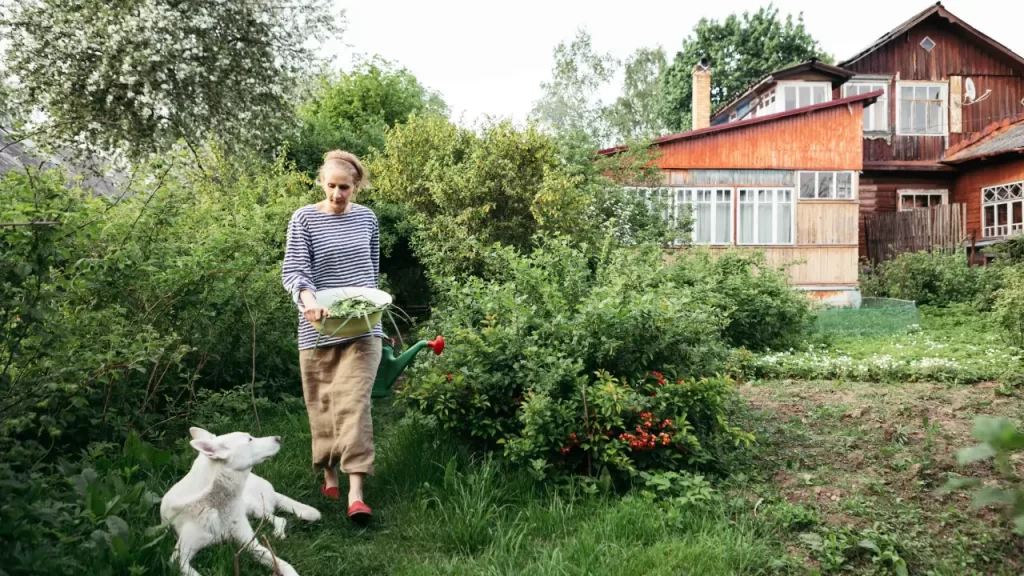 7 Plantas Tóxicas para Cachorros que Você Deve Evitar no Seu Jardim
