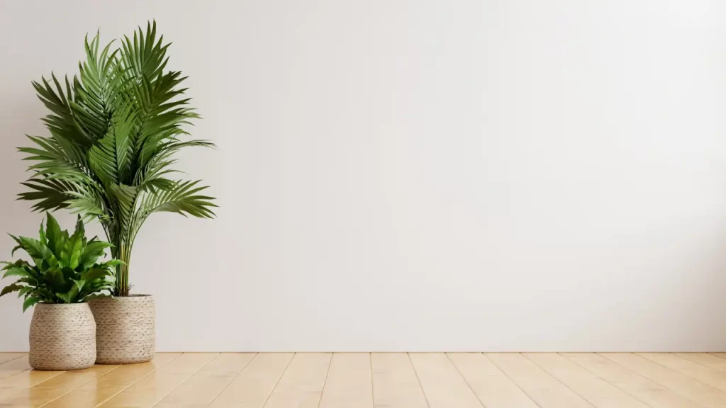 7 Dicas Essenciais para Transformar Sua Casa com Decoração Minimalista