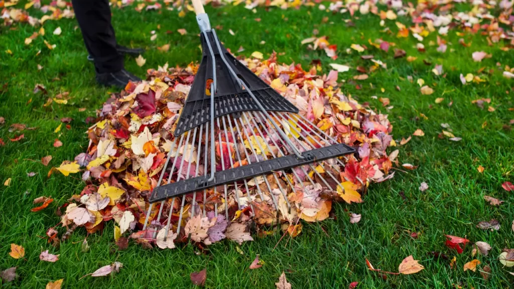 7 Dicas Essenciais de Jardinagem para o Outono: Prepare seu Jardim para o Inverno