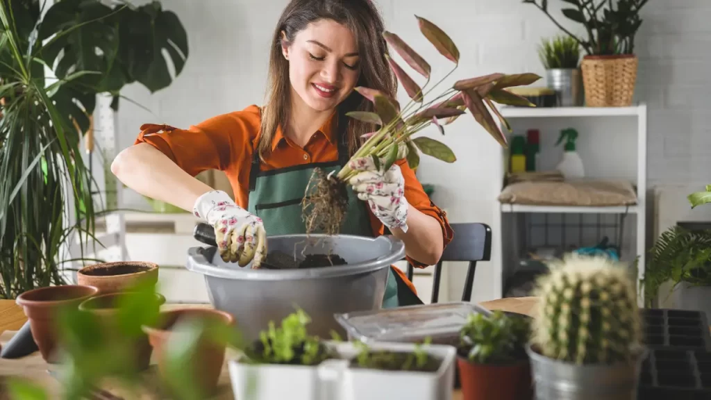 7 Dicas Essenciais de Jardinagem para o Outono: Prepare seu Jardim para o Inverno