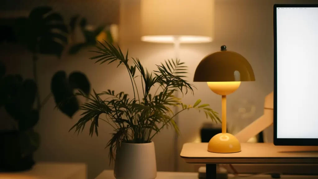 7 Plantas de Interior Perfeitas para Ambientes com Pouca Luz que Transformam sua Casa