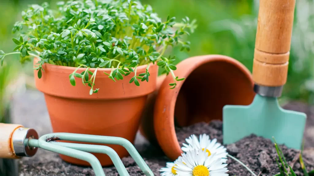 7 Dicas Essenciais para Criar um Jardim de Baixa Manutenção com Plantas Perfeitas