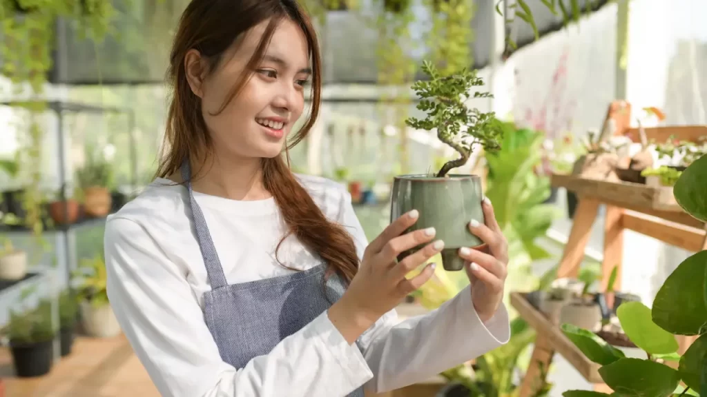 7 Dicas Essenciais para Criar um Jardim de Baixa Manutenção com Plantas Perfeitas